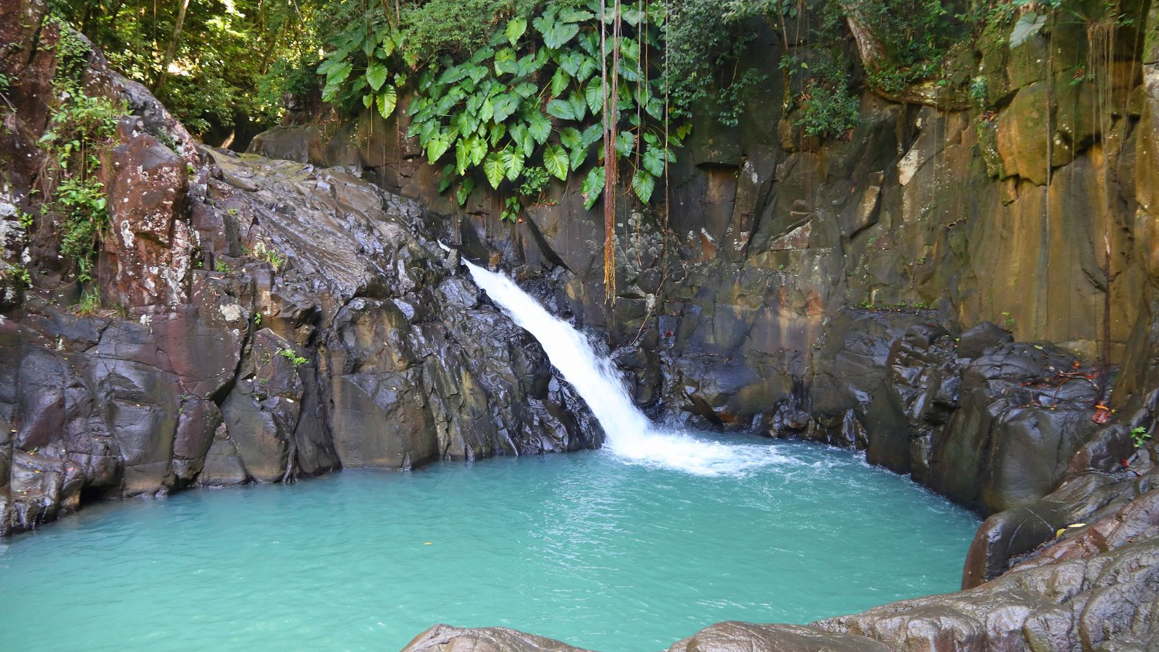 Saut d' Acomat | Pointe Noire