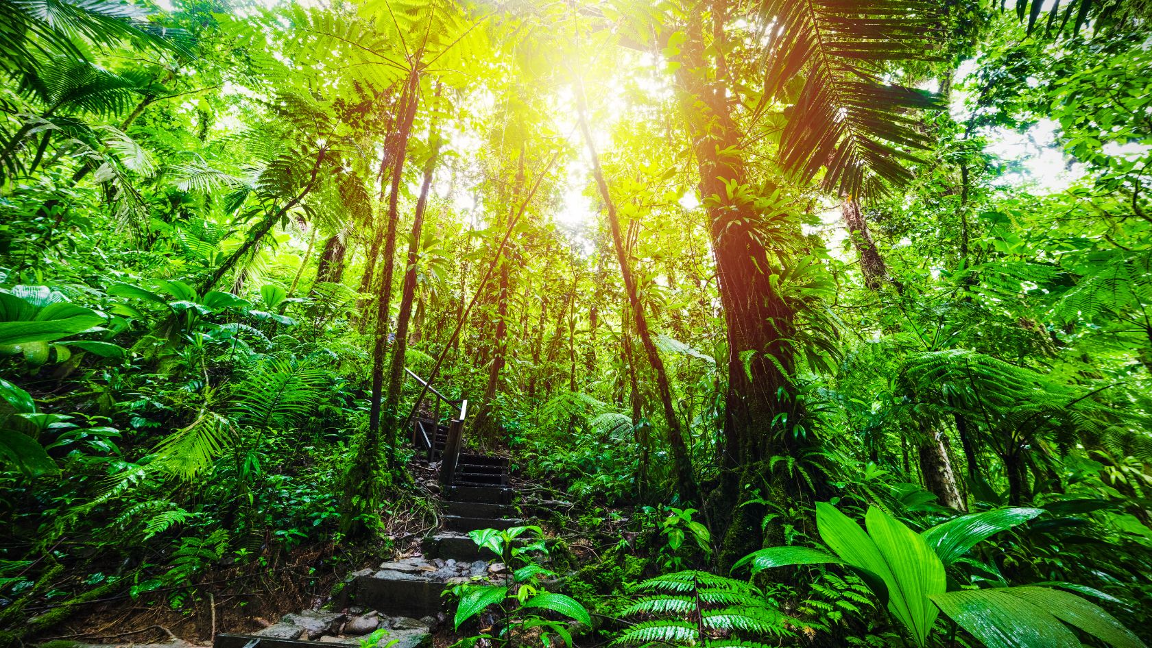 Parc National de Guadeloupe         