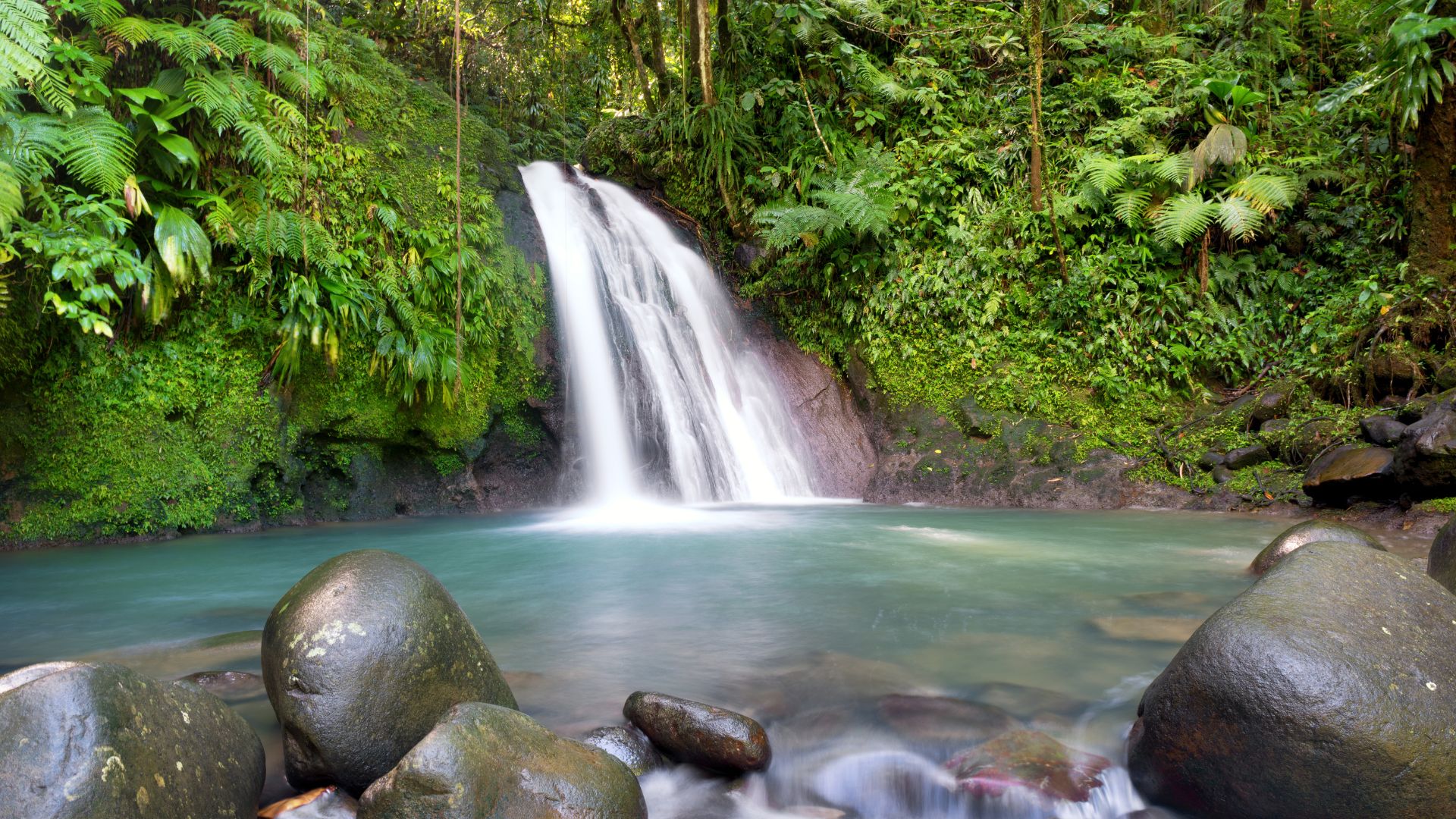 Cascade aux écrevisses | Petit-Bourg