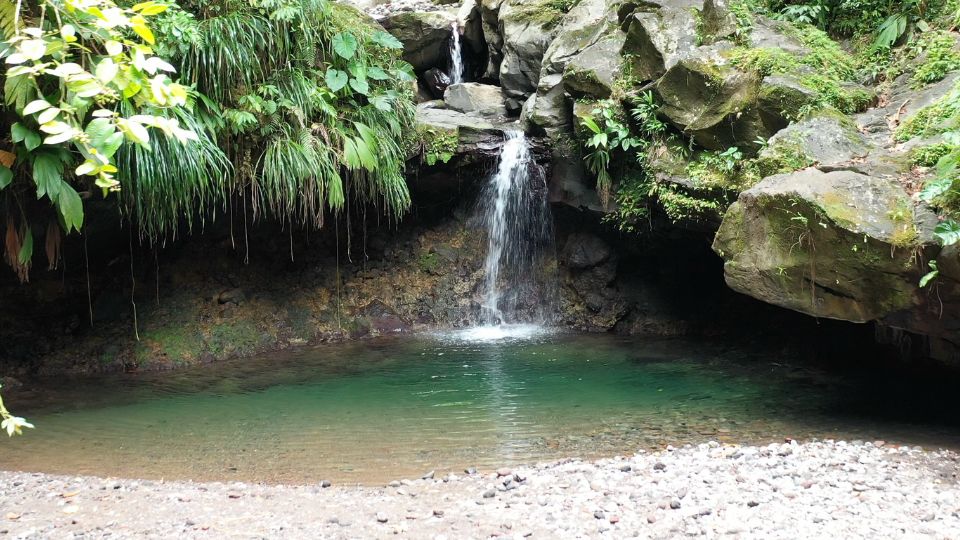 Bassin Paradise | Capesterre Belle-Eau